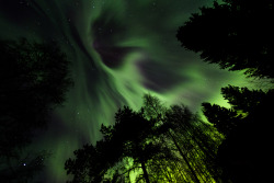 euph0r14:  nature | Aurora | by gahpir |