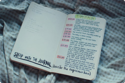 celeritious:  Sleep with the journal by ~