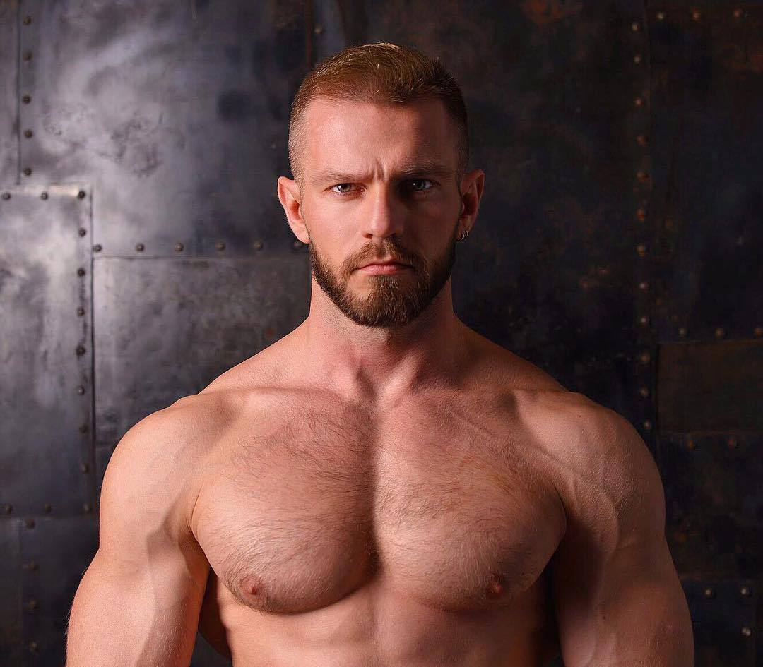 muscle