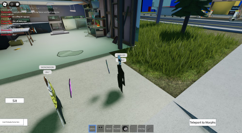 Roblox Screenshots