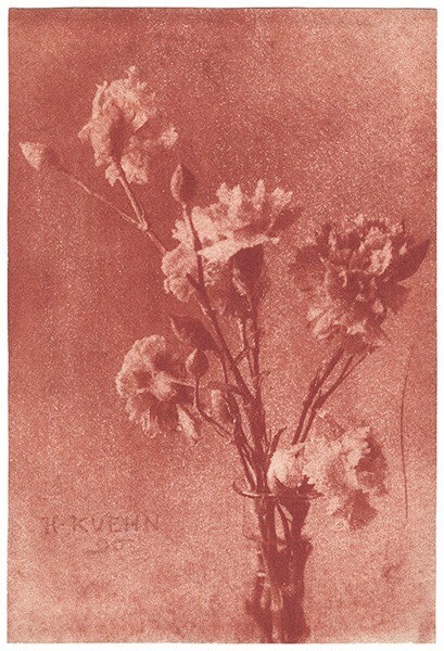 zzzze: HEINRICH KUHN, Still Life with Carnations, 1896, gum bichromate print, 15