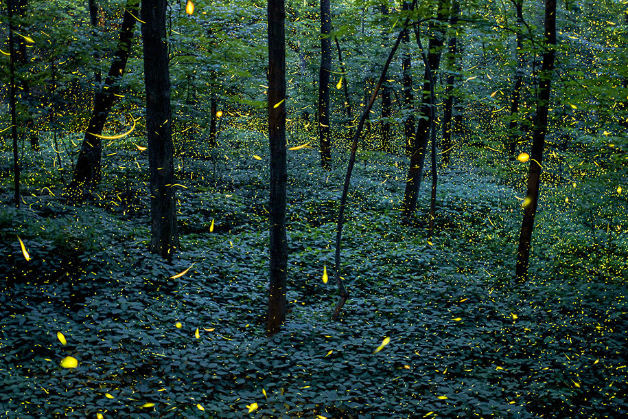 slowartday:  Long-exposure photography by Vincent Brady 
