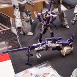 Blackout501St:  Over At Tfw2005 They’ve Got A Ton Of Pics From Tfcon Chicago Of