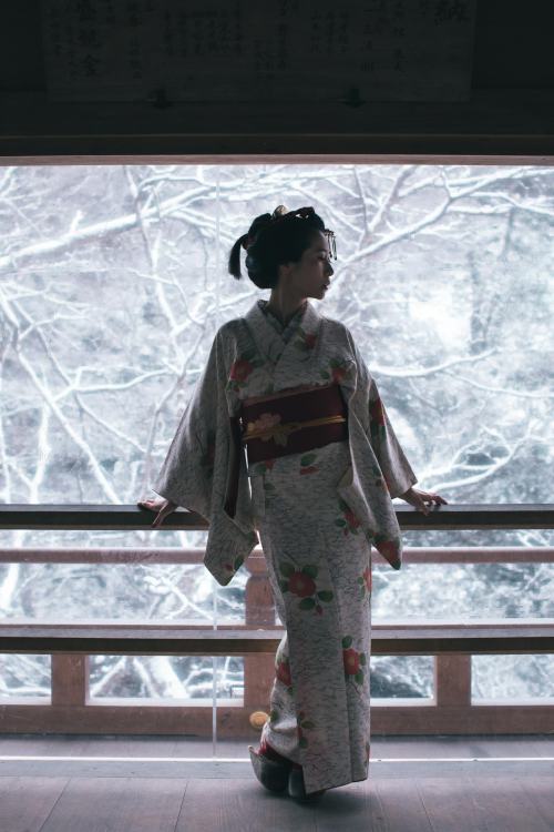 tanuki-kimono: Seasons of nihongami, beautiful photoshoots by nihongami hairstylist and kimono entho