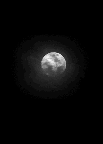 dazygraves:  The full moon