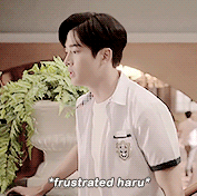 Haru