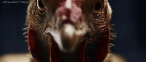 queerlyliable:cluckyeschickens:recklessisawreck:Mercedes-Benz TV: MAGIC BODY CONTROL [x]oh good, goo