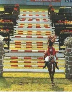 horsesjumpingcourses:  now this looks challenging! this must be ridden perfectly source  What! I can&rsquo;t tell if its a six or seven combo&hellip; insane either way!