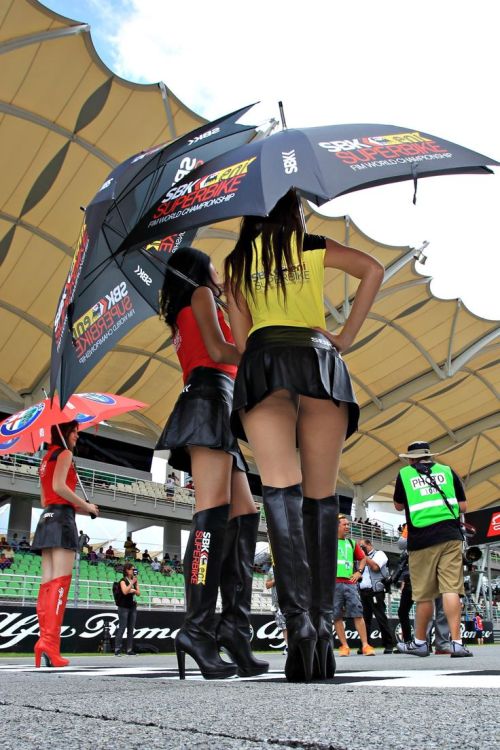 Low angle Grid Girls