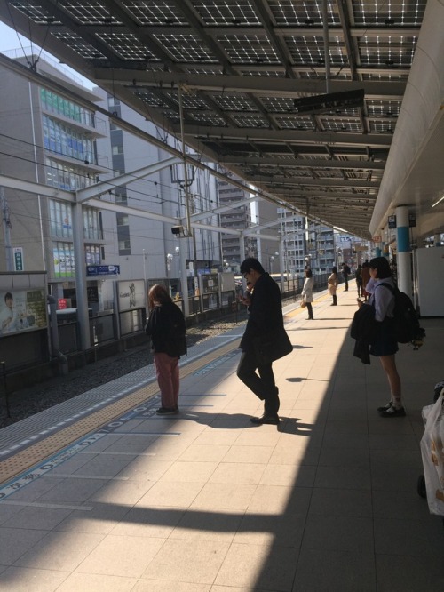 tokyomicma:  cherry blossoms + a taste of my commute home