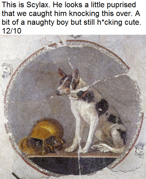 thoodleoo:i am completely here for the idea of the dog_rates twitter but with dogs from ancient art