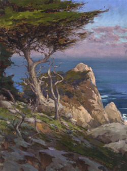 catonhottinroof:  John Burton     Point Lobos Cypress 