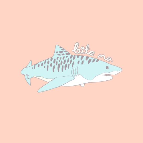 kippydraw:  HAPPY SHARK WEEK!! enjoy some pastel sharks✨  You can also find these designs on my Redbubble! 