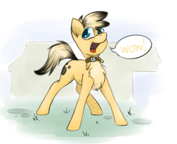 marsminer-venusspring: Commission from https://inkbunny.net/WelofHis doggo OC as a pony. Thank you!!!   Cute! :3