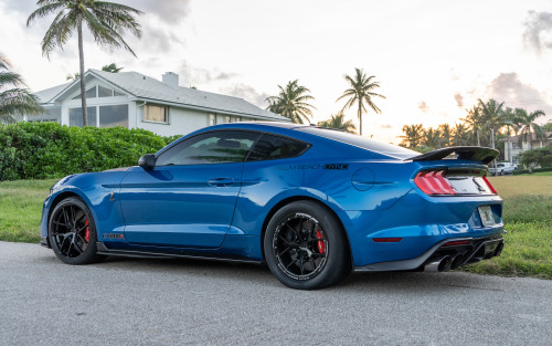  1200+whp made easy. Palm Beach Dyno is performing tuning magic on their CX1100R Ford Mustang Shelby