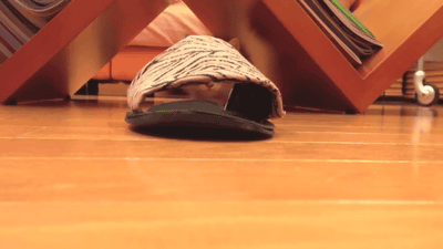 togifs:  [video] 