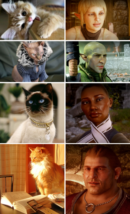 hobbitsaarebas: milkymaccha: schmooplesbottom: Dragon Age: Catquisition Advisors || Antagonists || T