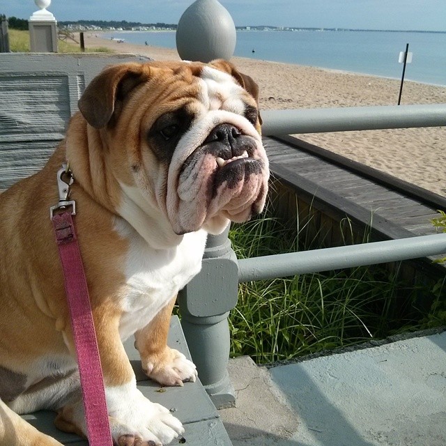 at the beach and enjoying a tranquil moment. 🌅 via Instagram http://ift.tt/1ogaYQj