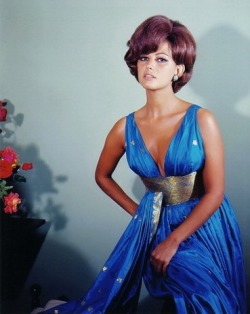 retrogirly:  Claudia Cardinale  Rrrrrrrrrrrrrrrr&hellip;&hellip;&hellip;.!!!