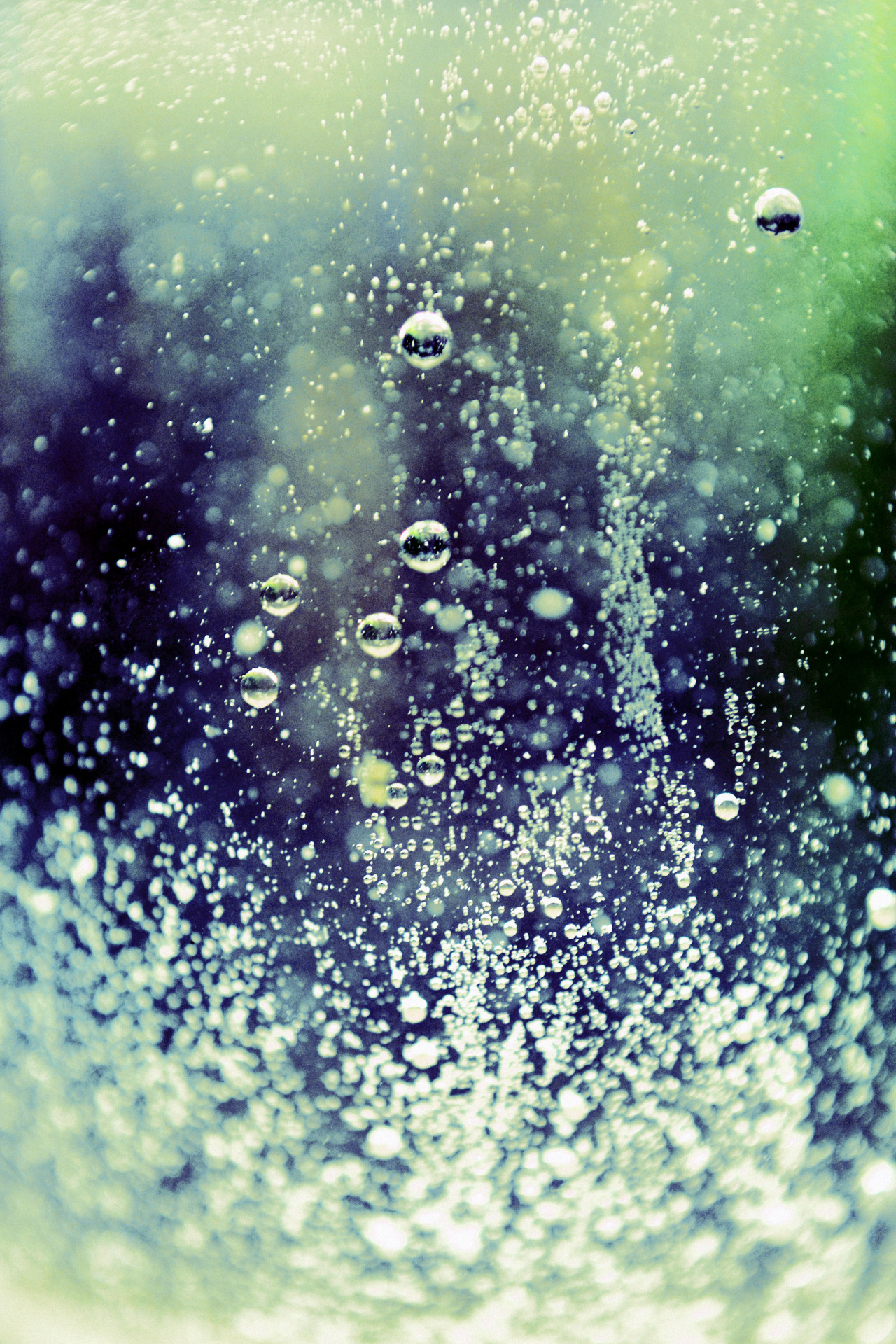 4096colours:found Spring