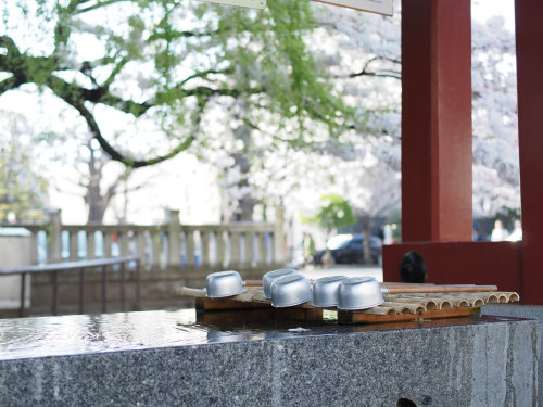 春の手水舎 2 by NeconoteVia Flickr:a chozu-ya (ablution pavilion) in the spring