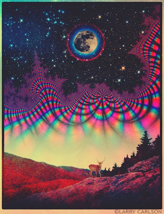 larrycarlson: