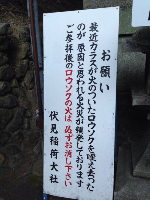hutaba:せえしよおゆうこ。さんはTwitterを使っています: “カラスおっかない https://t.co/0xcRuksYP9”