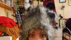 New Floofy Hat! I Love It, But It&Amp;Rsquo;S Not Quite #Raccoonhat Awesome. 