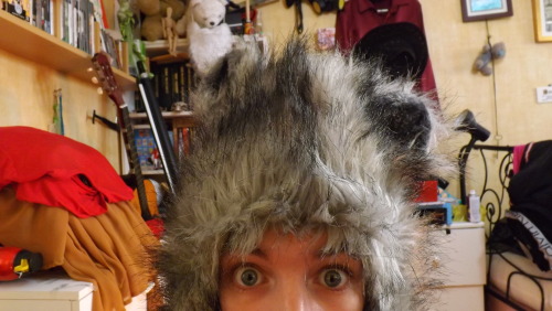 New floofy hat! I love it, but it’s not quite #raccoonhat awesome. 