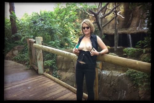 Porn exhibitionist-wife:  Zoo flashing practice photos