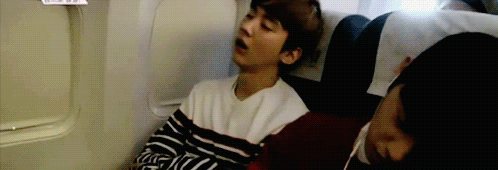 skyluxer:  Look at this cute little sleeping puppies… 