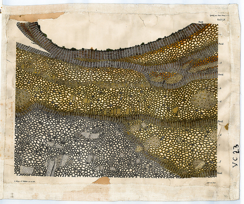 Arnold &amp; Carolina Dodel-Port.Â The Dodel-Port Atlas (Cork illustration).Â 1878-1893.