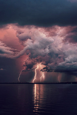 redlipstickresurrected:  Masterdoot - Lightning Storm over Tampa, Florida, USA  Photography 