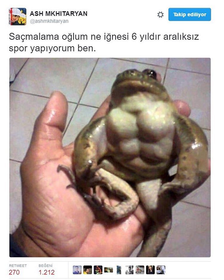 - Saçmalama oğlum ne...