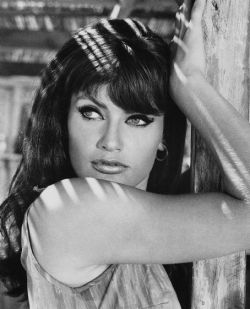 vintagegeekculture:  Austrian B-movie actress Marisa Mell. The last picture is from 1968, I checked. Doesn’t everything about it scream 2003, though?