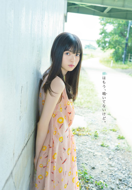omiansary27:  週刊少年サンデー 2018 No.45   扇風機