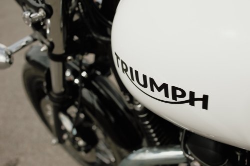 Sex combustible-contraptions:  2014 Triumph Thruxton pictures