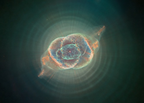 spaceexp:  Cat’s Eye Nebula 