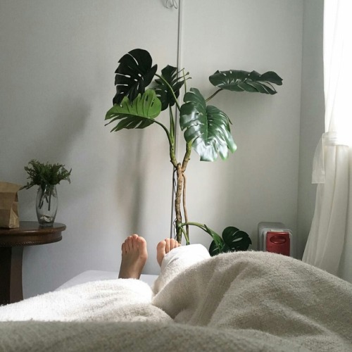 sunbathe:https://www.instagram.com/p/BiA7cm0gu8E/