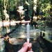 ganjapreneurgal:Armstrong Redwoods, California 
