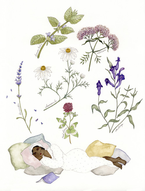 Herbs for Restful Sleep (2020)