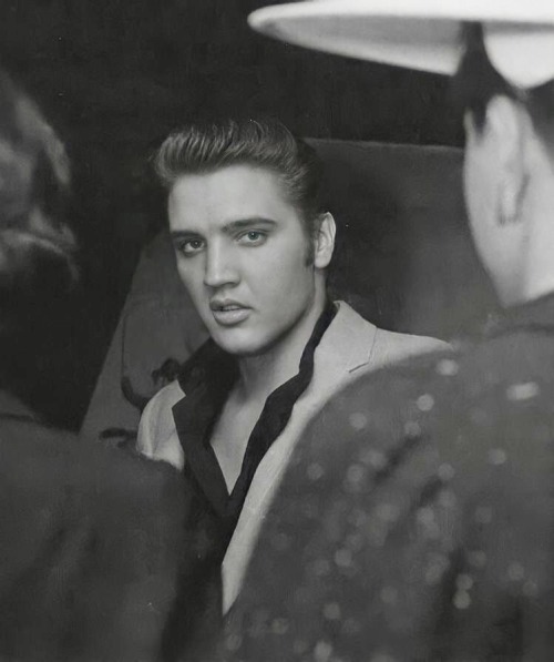 To Our Beloved Elvis,