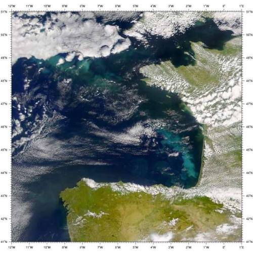 Tides and Ocean Circulation If we live along the coast, we witness the sea rise and fall with the ti