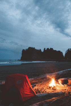 earth-dream:  Beach Fire