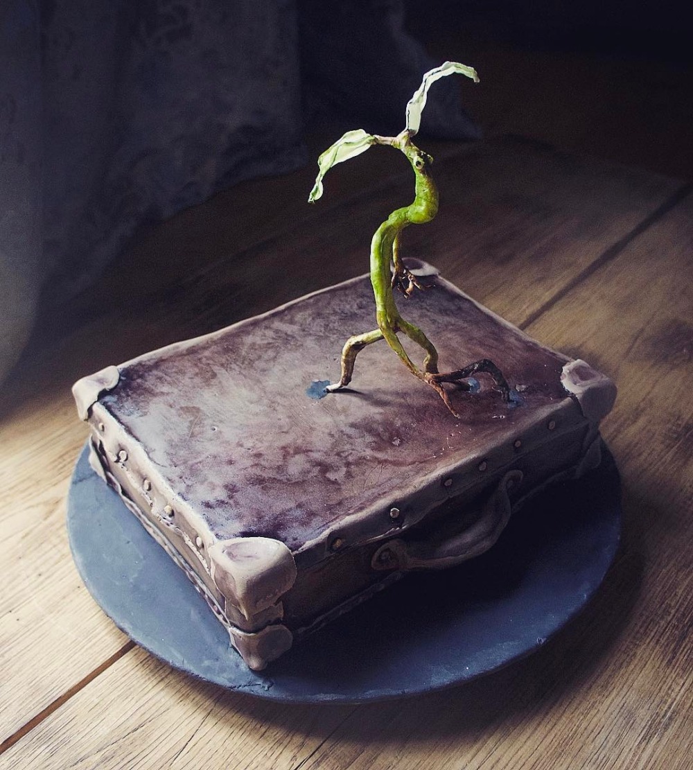 sosuperawesome:  Elena Gnut Cakes on Instagram 