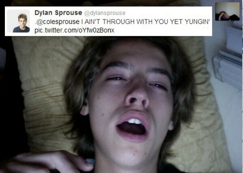 the1dlifeforme:  Ladies and gentleman, 21 year old twins and child stars Dylan and Cole Sprouse. 