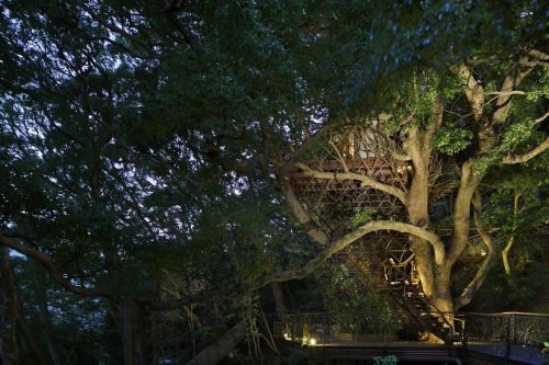 wordsnquotes:  thedesigndome:Japan’s Largest Treehouse Was Built Around a 300-year Old Tree A professional Japanese tree house designer for 15 years Takashi Kobayashi has built over 120 tree houses in Japan and globally.  Keep reading