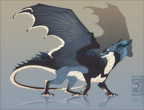 jellyfishjulie: I think we can all just agree that dragons are pretty cool…But dragon designs