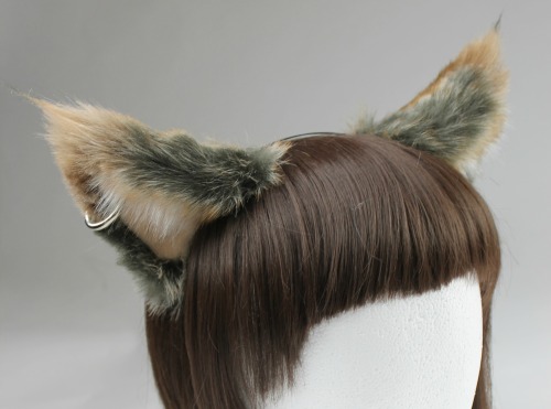 daddiesbrattykitten:  daddysbabygirl-princess:  kittensplaypenshop: lapis-the-waterwitch:  kittensplaypenshop:  Cat ears made in Mountain lion,with tips. Trimmed to have lynx-like tufts. Pierced on right ear. No fluffs on bottom and nude velvet. <3