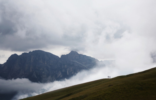 cerceos:    Andrea Holzner - Dolomiti 